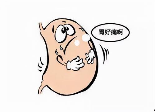 喝酒吃瓜胃疼,揭秘饮酒与饮食不当的后果  第1张